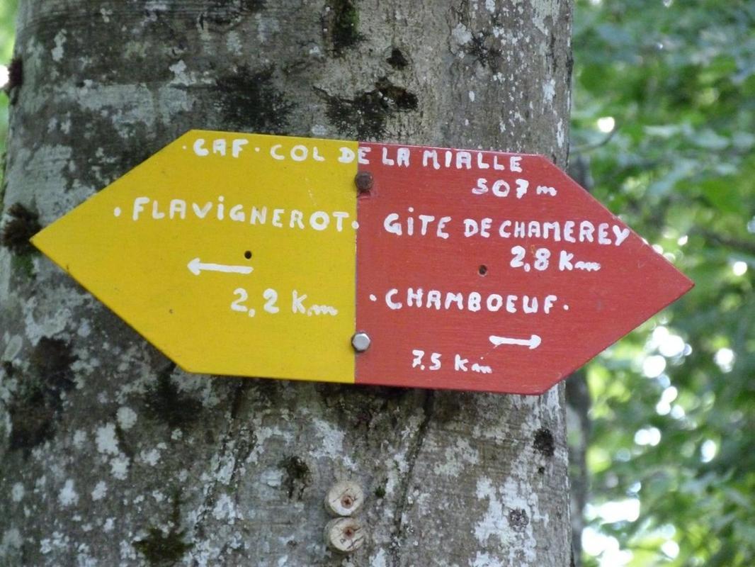 Le Flav - Charmant Appartement A 10 Mn De Dijon Flavignerot 외부 사진